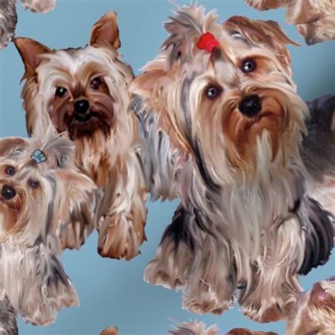 yorkshire terrier fabric|yorkshire terriers wallpaper.